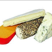 Picture Of Cheddar Blue Cheese Gorgonzola