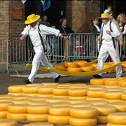 Picture Of Cheese For Market In Alkmaar