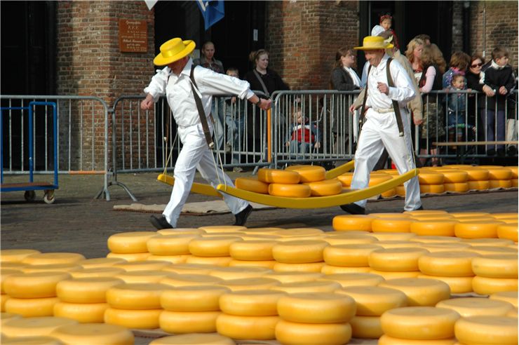 Picture Of Cheese For Market In Alkmaar