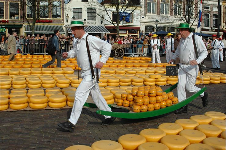 Picture Of Cheese In  Holland