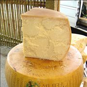 Picture Of Parmesan Cheese