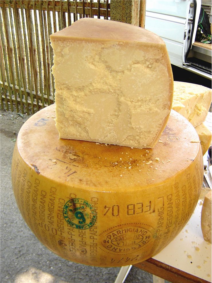 Picture Of Parmesan Cheese