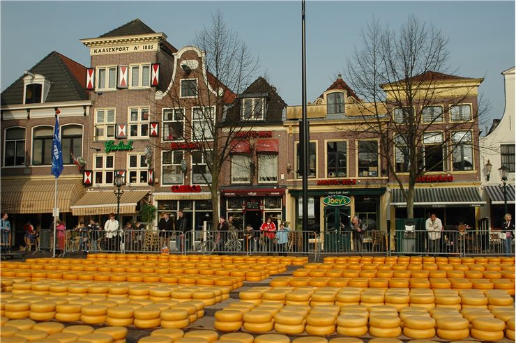 Picture Of Cheese For Cheese Market